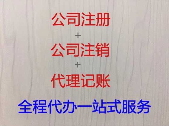 盐城专业公司注册代办联系电话,代办注册软件公司,税务代理代办